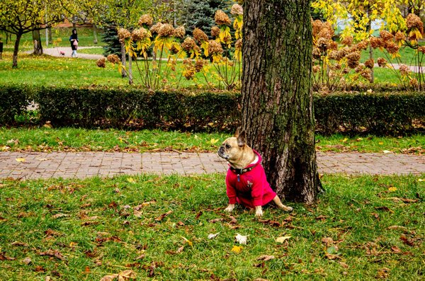 Votre audioprothésiste à pouilly-en-auxois : services et conseils